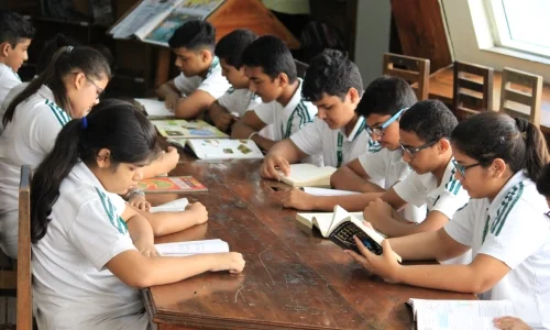 Why Orchids The International School