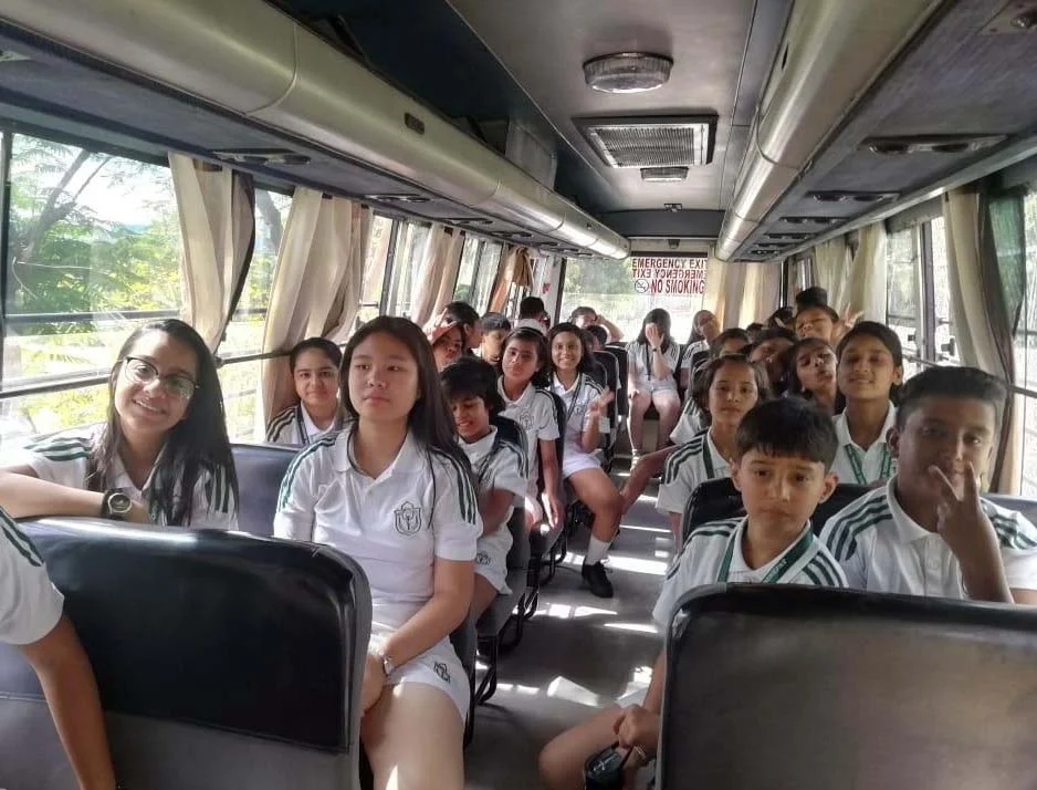 NSO 2022